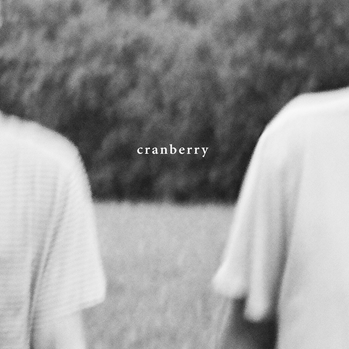 Top Albums Cranberry