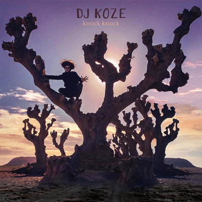 Top Albums DJ Koze