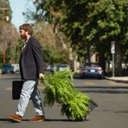 Between Two Ferns