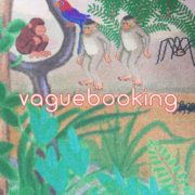 Vaguebooking cover