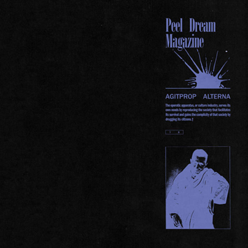 Bandcamp Picks Peel Dream Magazine