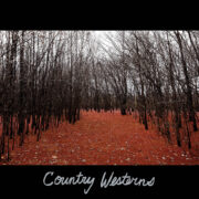 country-westerns cover