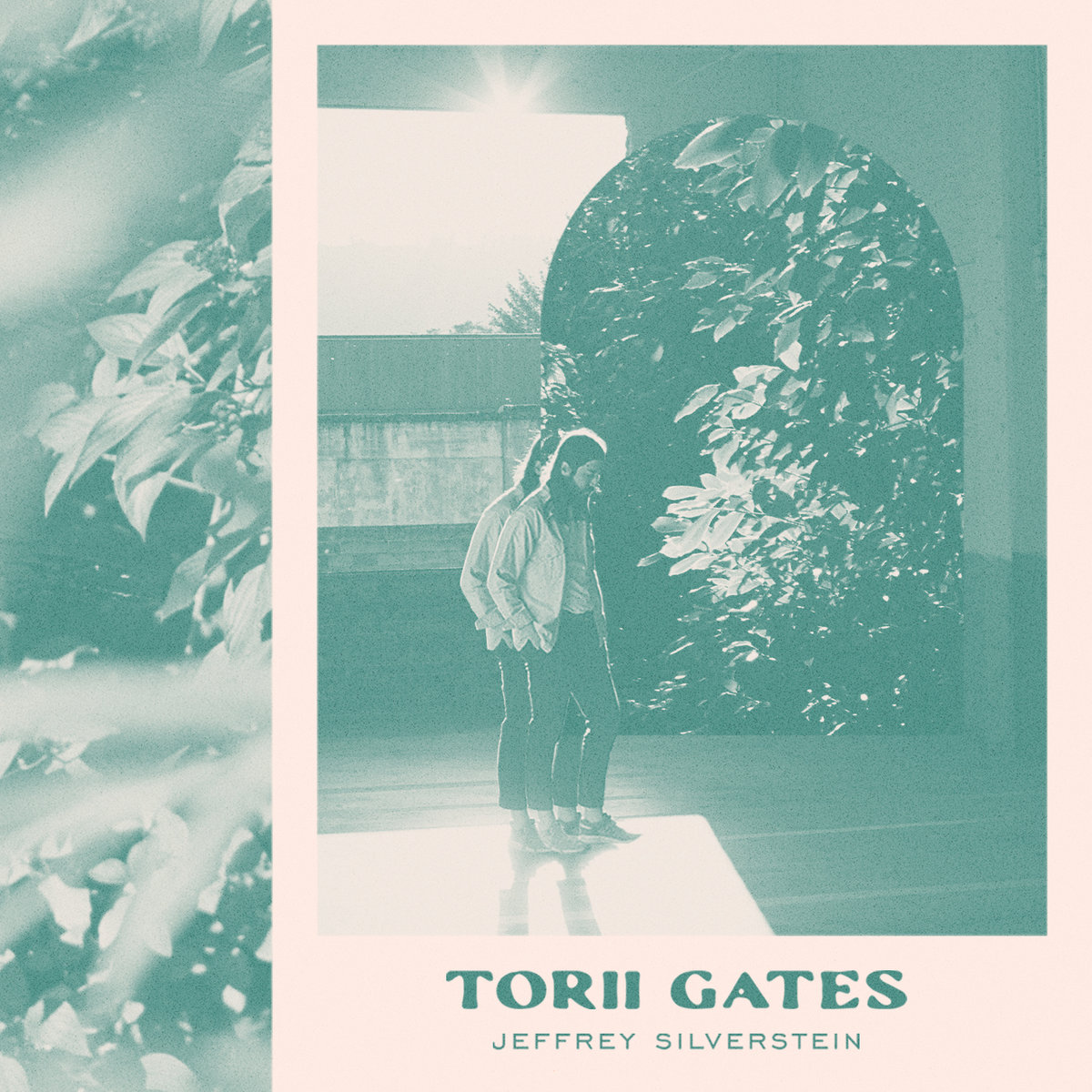 Torii Gates