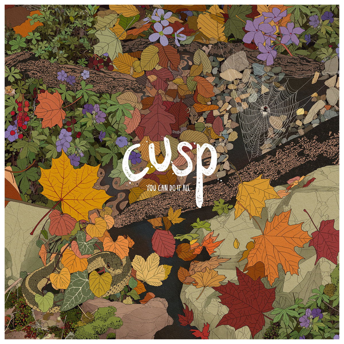 Cusp album cover