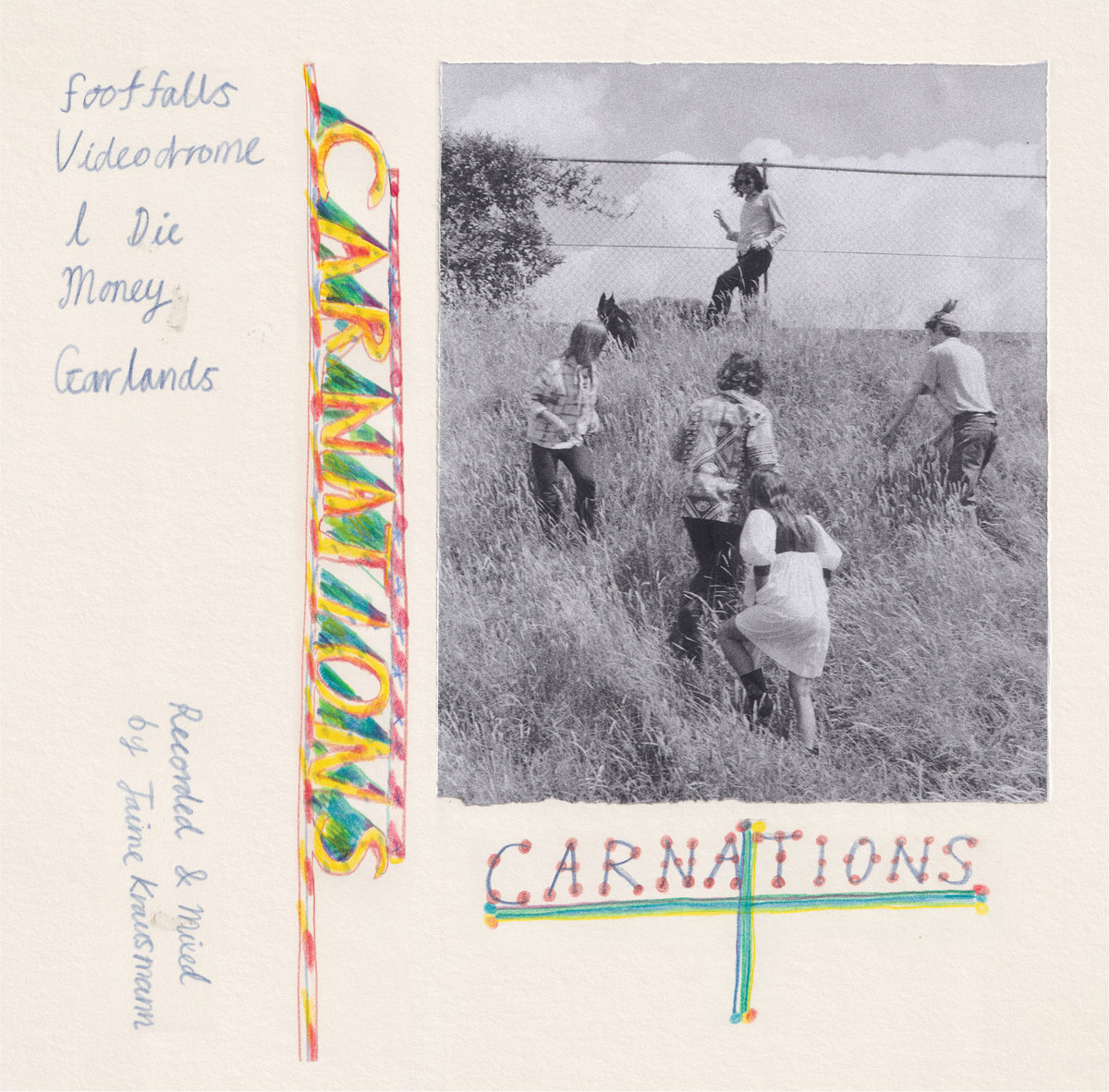 Carnations cover