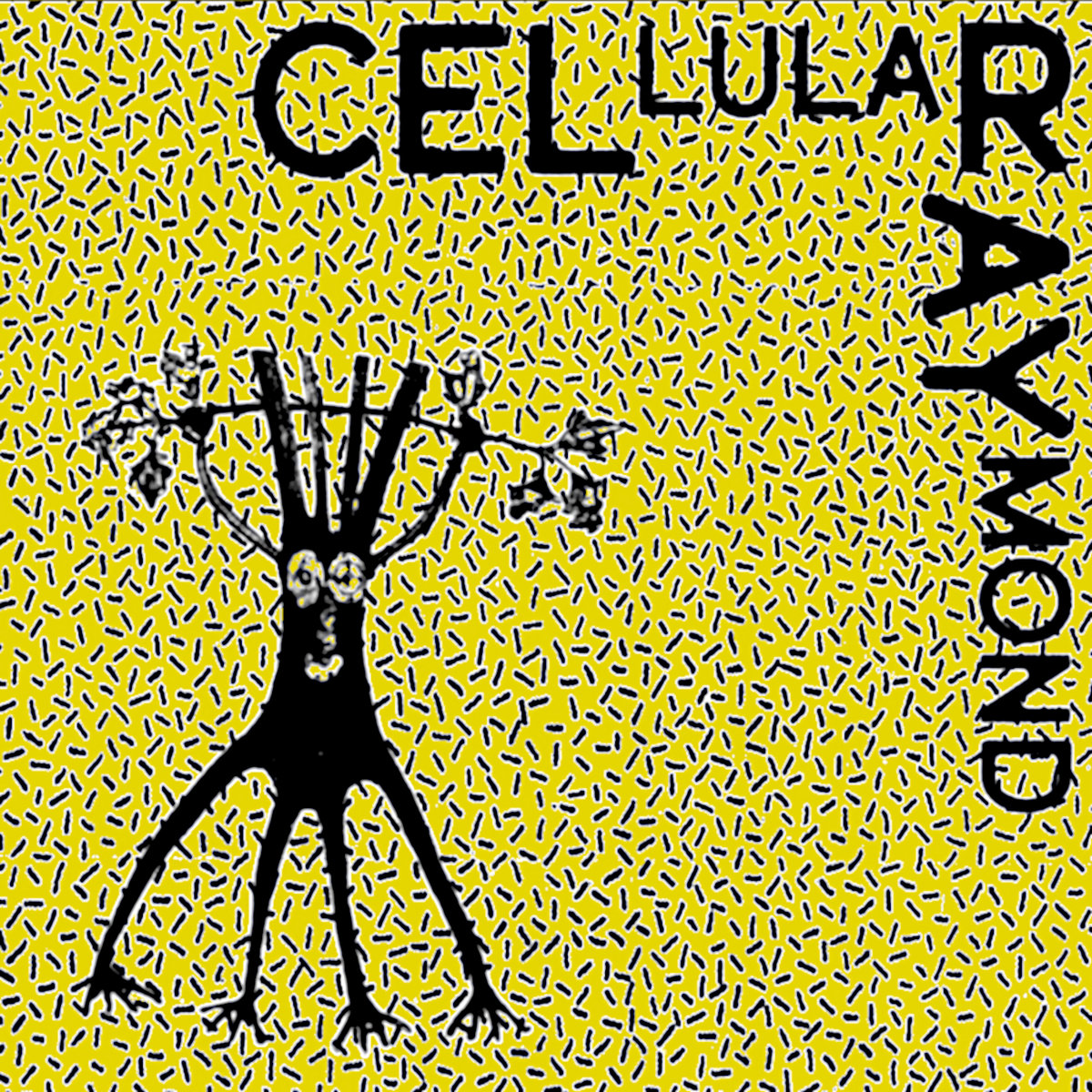 Cellular Raymond album cover
