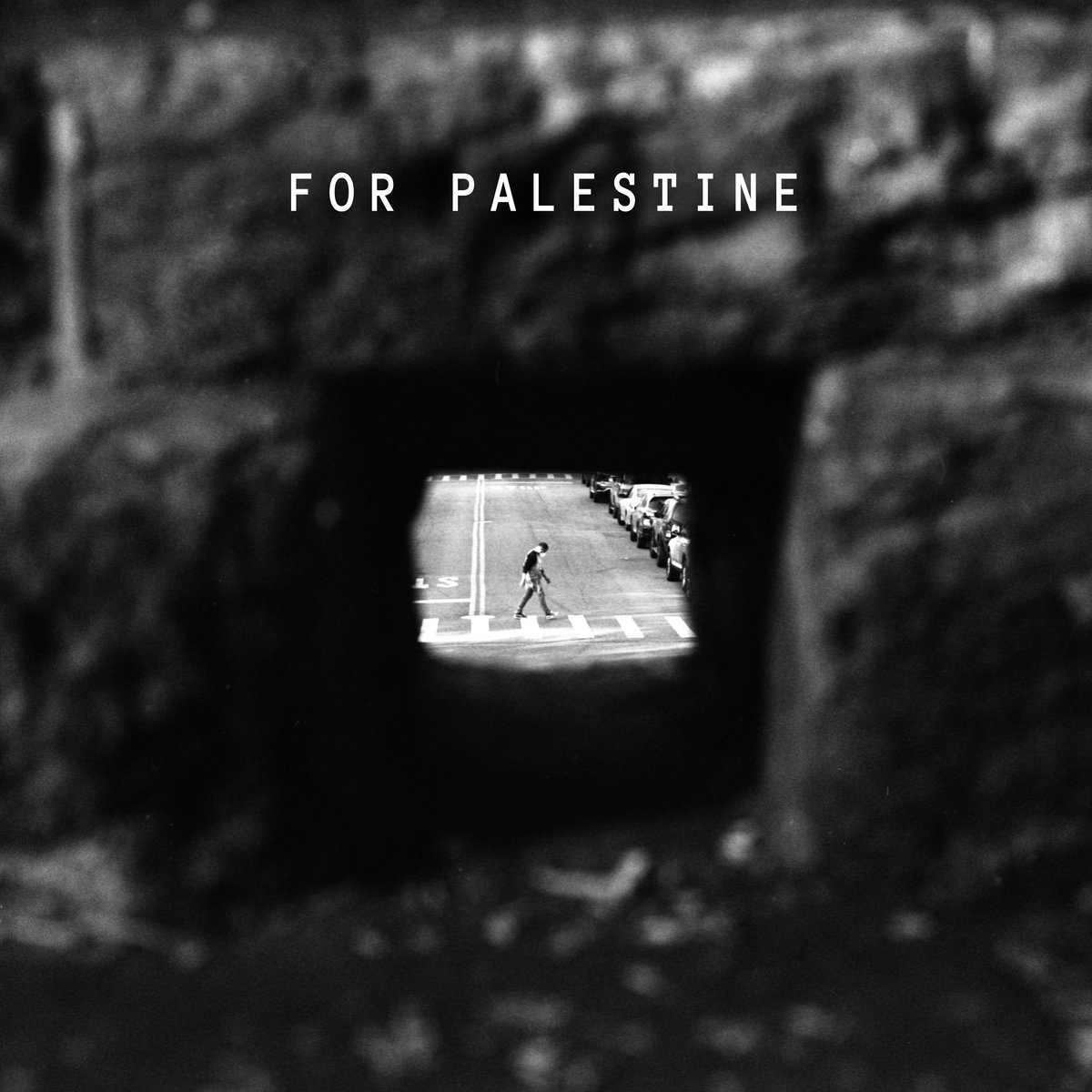For Palestine Cover