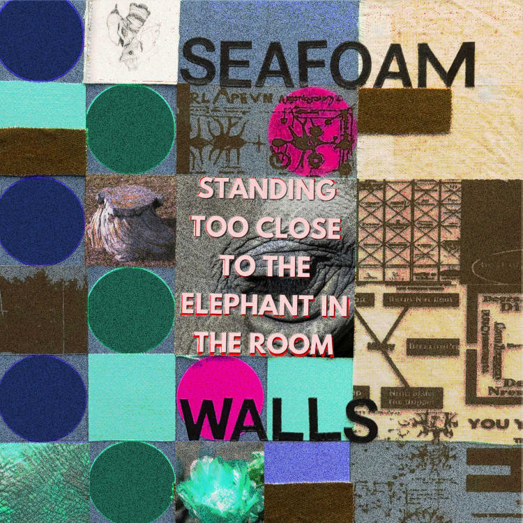 Seafoam Walls album cover