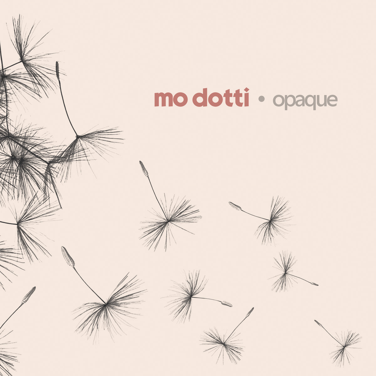 Mo Dotti Album Cover