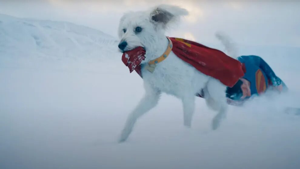 Krypto the Dog