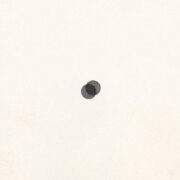 Neu Blume Album Cover