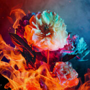 CINDER Header