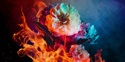 CINDER Header
