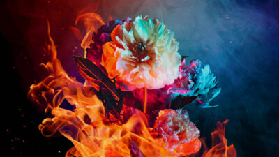 CINDER Header