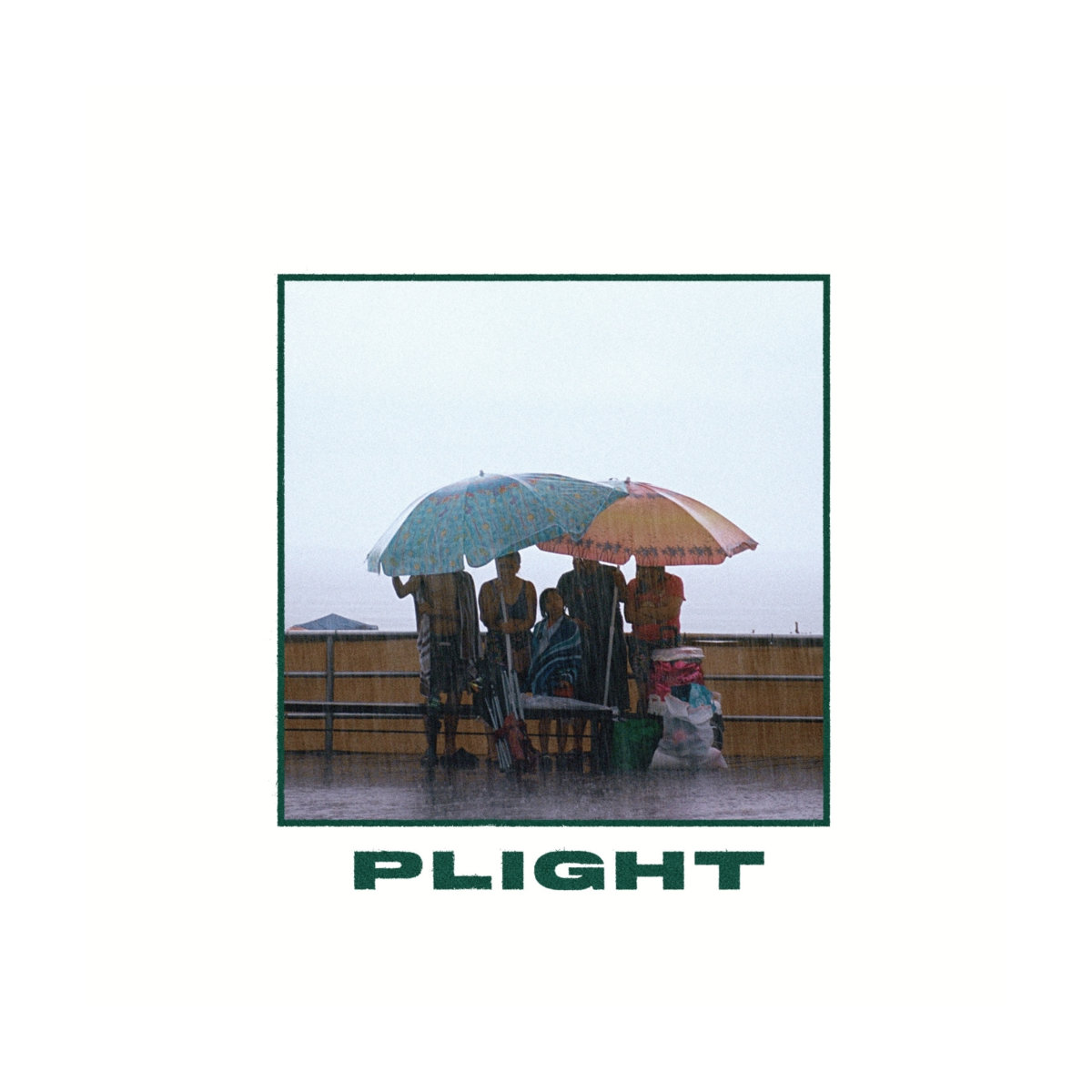 Plight album cover