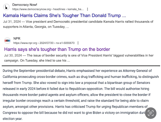 Kamala Harris Google Search