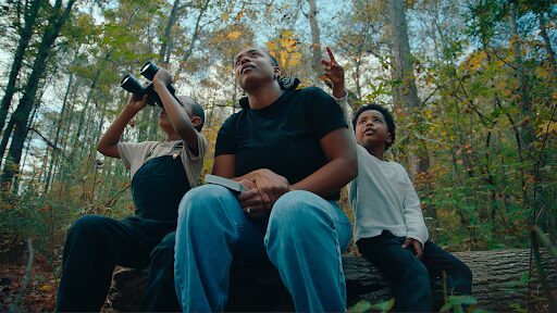 THE BOYS AND THE BEES Still