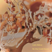 Liam Aldous Album Cover