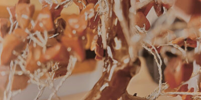 Liam Aldous Album Cover