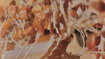 Liam Aldous Album Cover