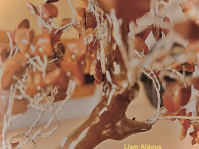 Liam Aldous Album Cover