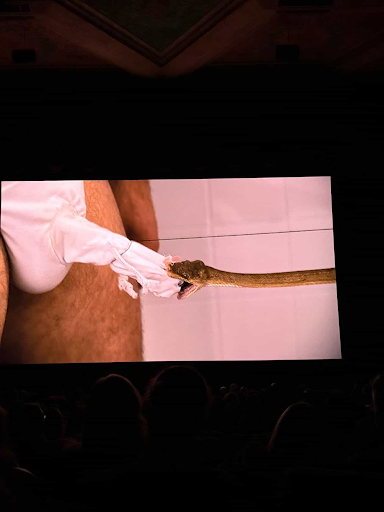 Jackass still bite on dick from snake