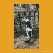 Marty Blick album cover