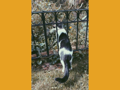 Marty Blick album cover