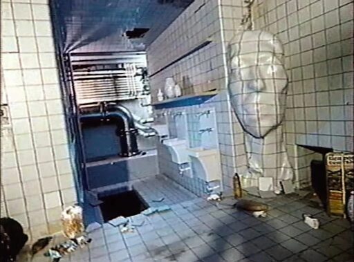 Backrooms Still