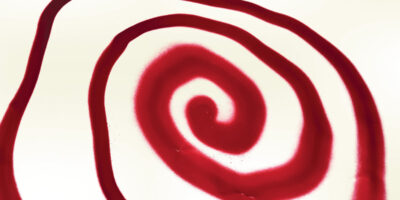 Diary spiral bound album cover