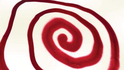 Diary spiral bound album cover